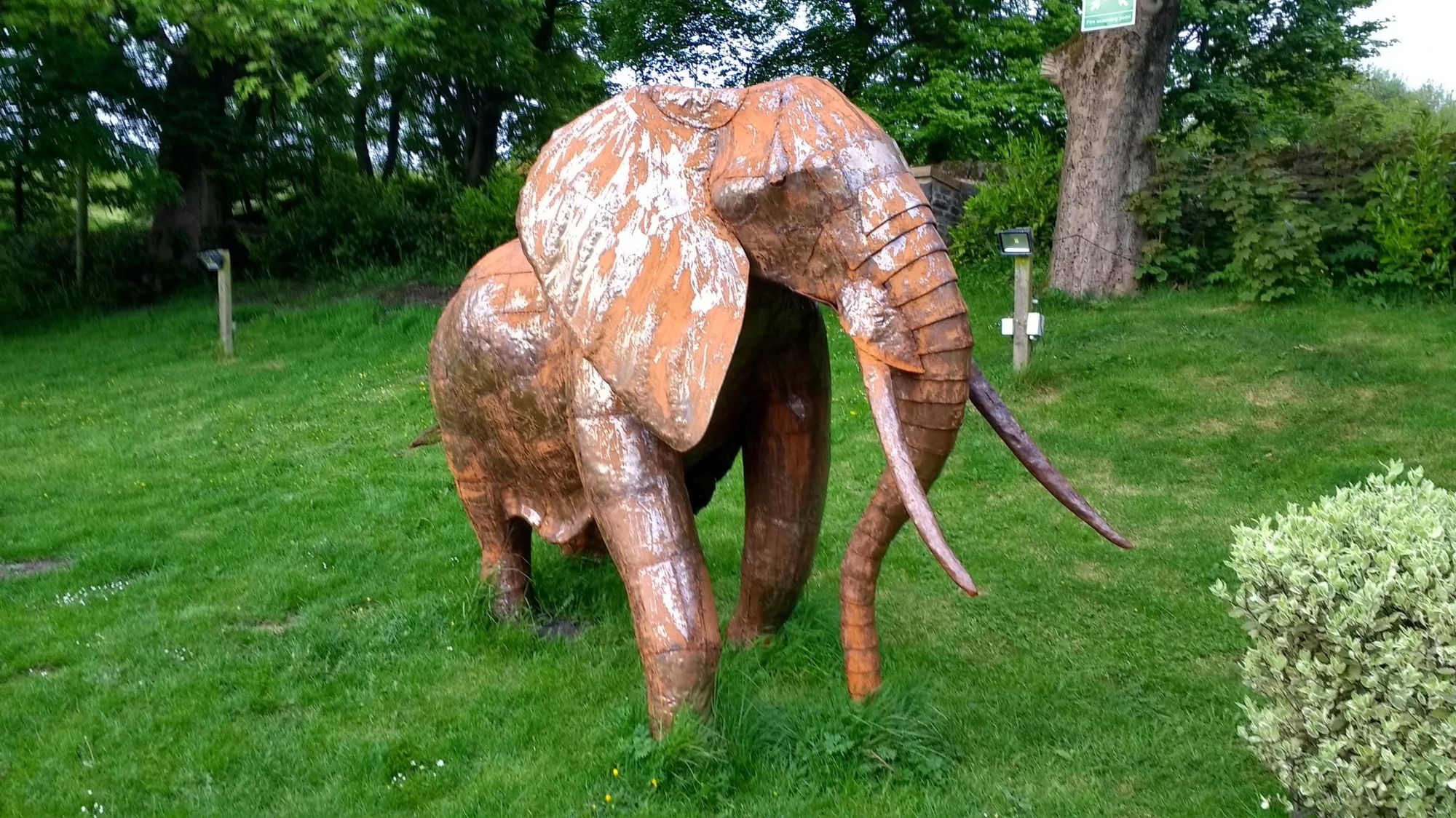 Elephant. Published on 20-05-2017