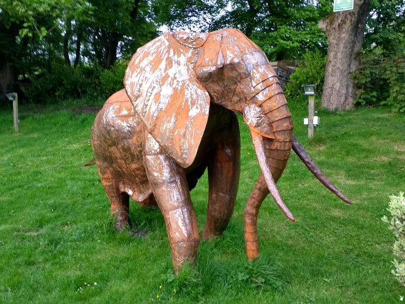 Elephant. Published on 20-05-2017 