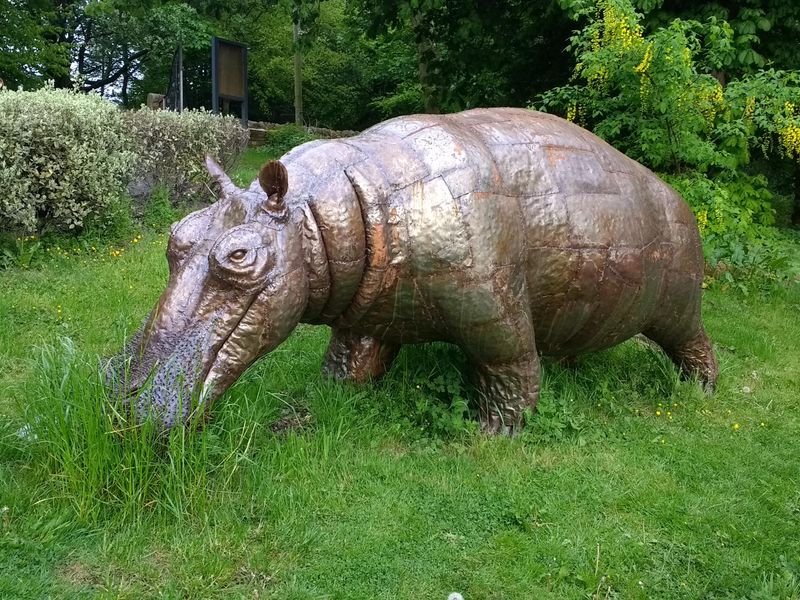 Hippo. Published on 20-05-2017 