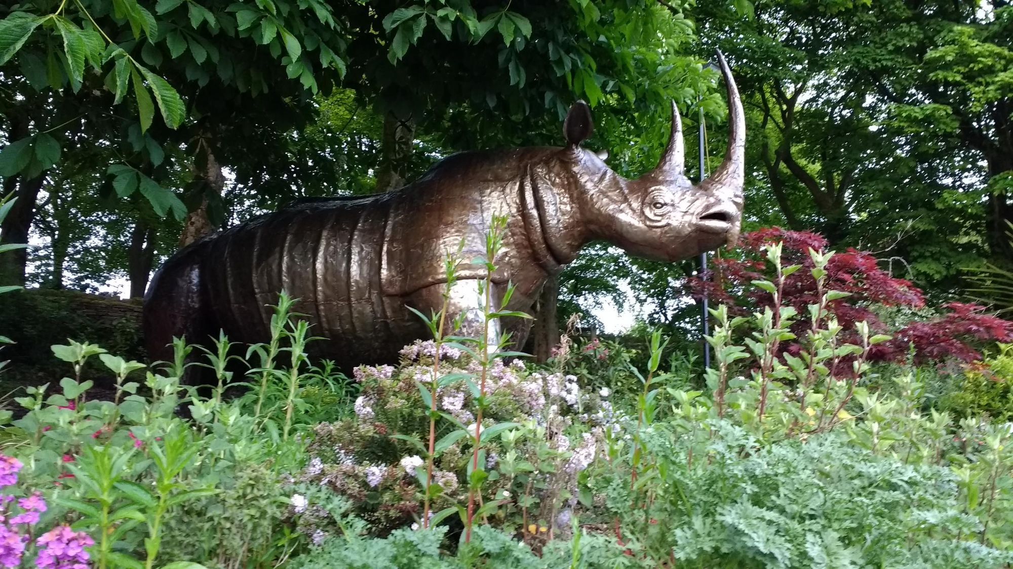 Rhino. Published on 20-05-2017