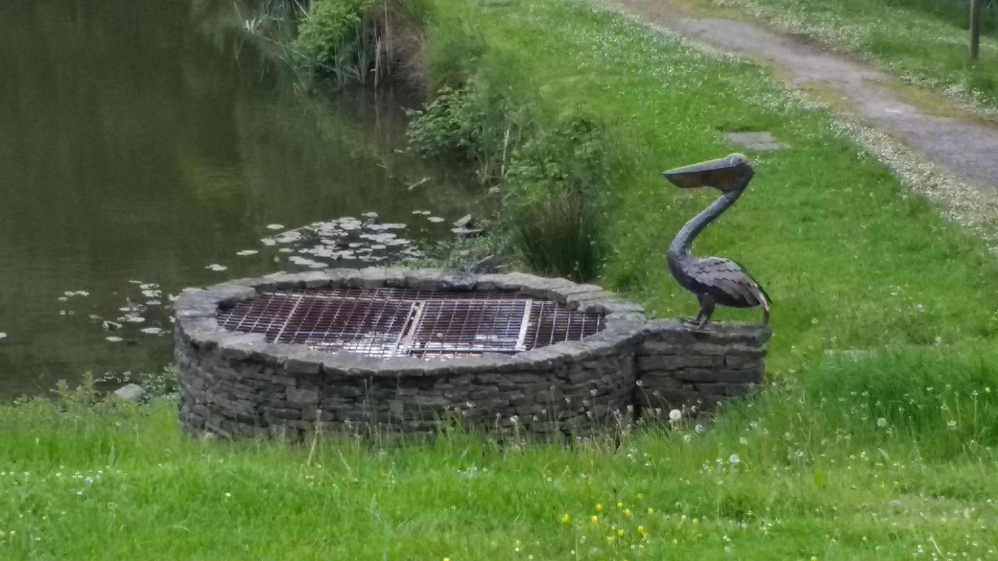 Pelican. Published on 20-05-2017