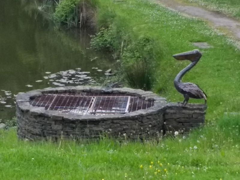 Pelican. Published on 20-05-2017 