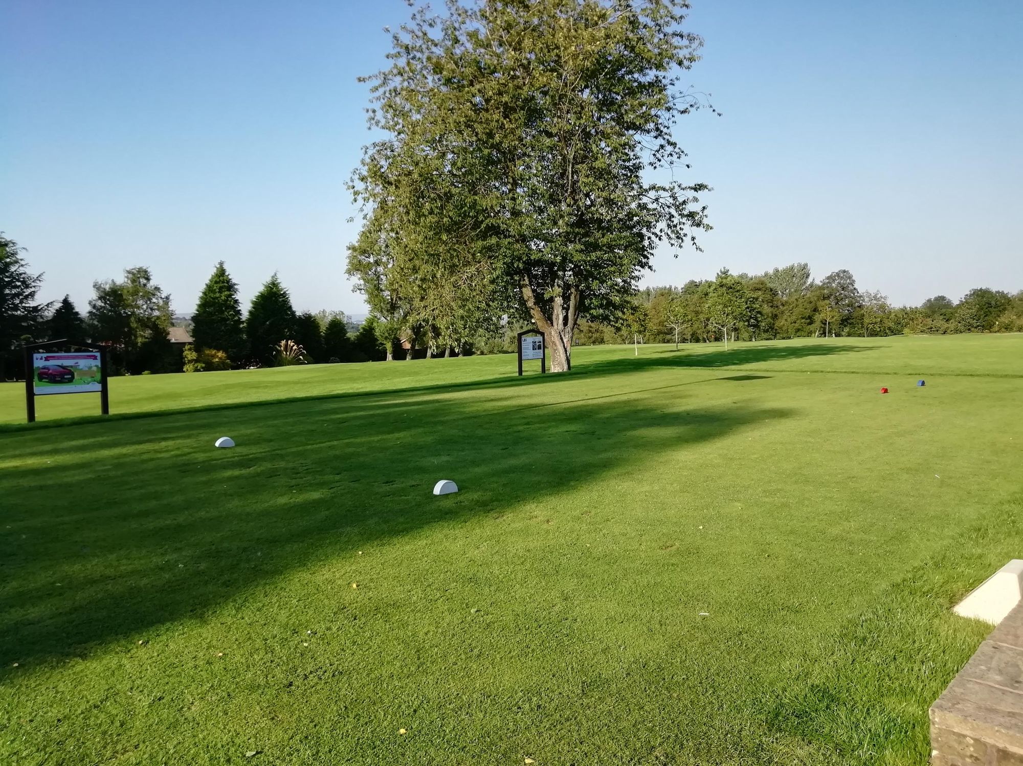 Some Grass. Published on 28-08-2019