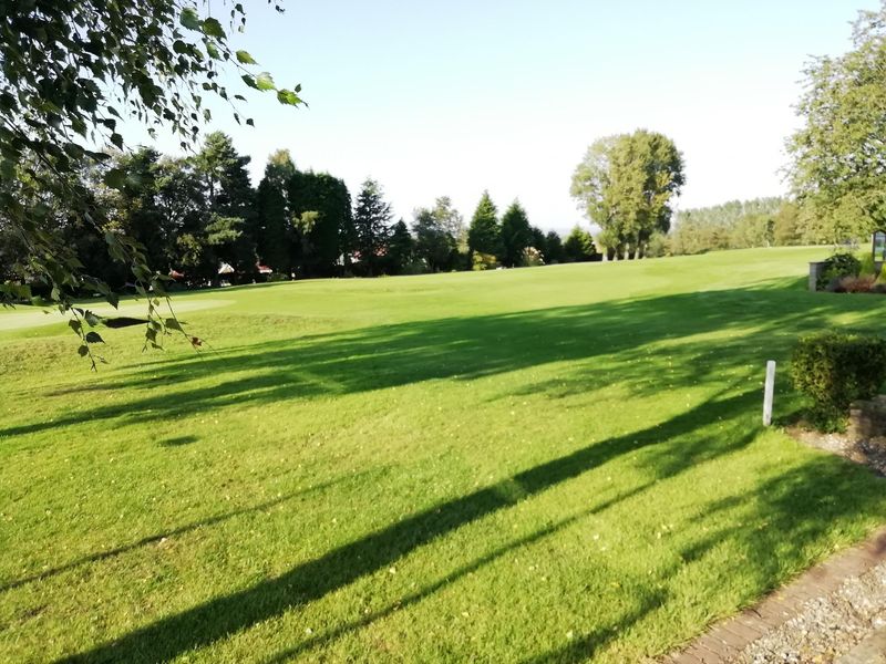 Some more grass. Published on 28-08-2019