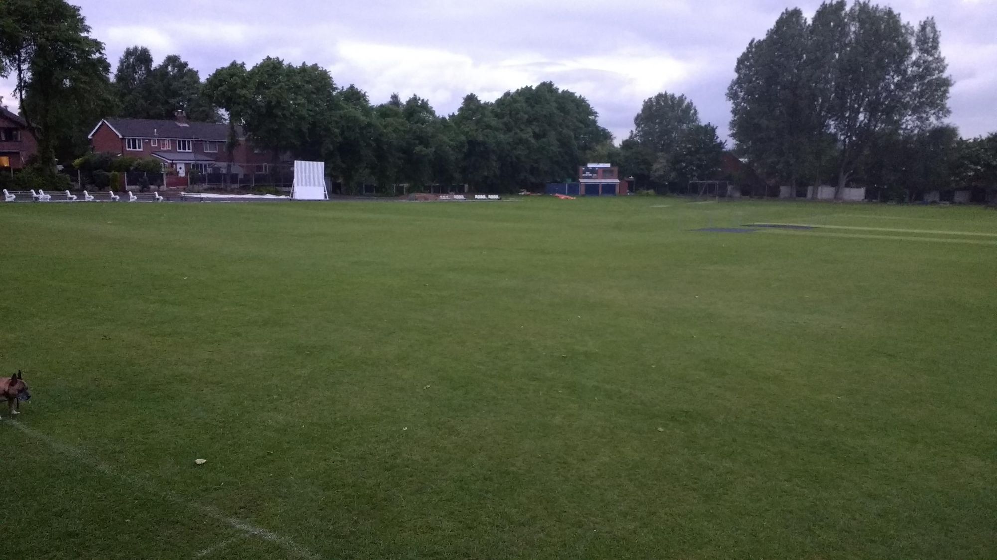 Cricket Field. Published on 01-06-2017