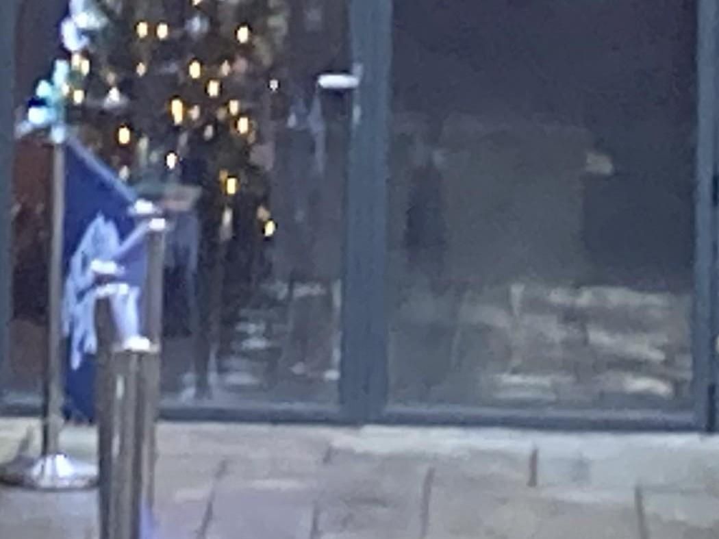 Mobility Level Access at the entrance. (External). Published on 28-01-2026