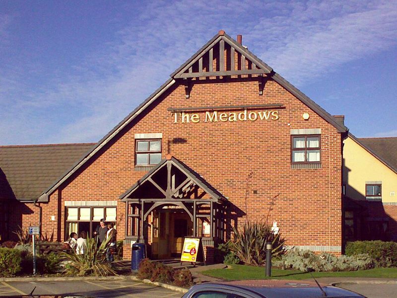 Meadows, Brampton. (Pub, External). Published on 14-10-2014 