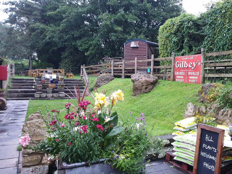 Aug 2020 - Garden. (Garden). Published on 20-02-2022 