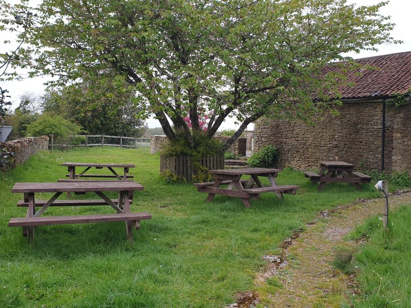 May 2021. (Garden). Published on 02-01-2024 
