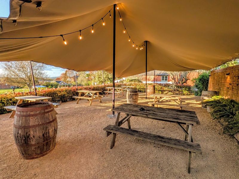 (Garden). Published on 12-04-2026 