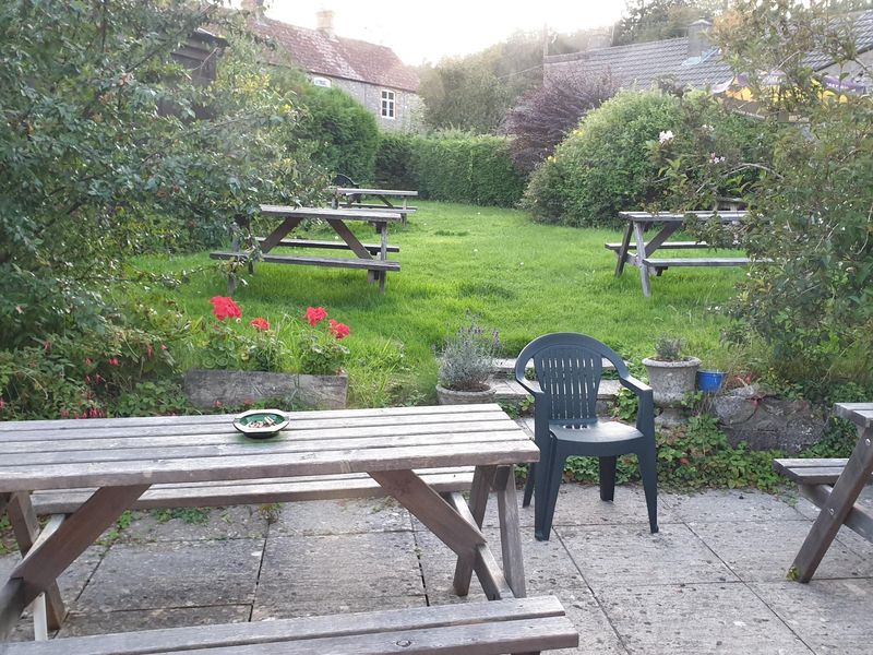 Sept 2020 - Garden. Published on 20-02-2022 