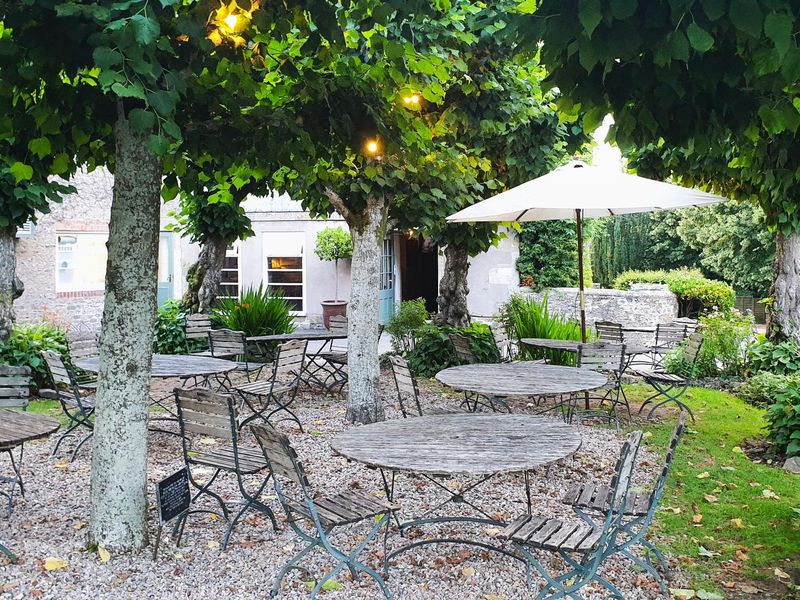 July 2021. (Garden). Published on 12-05-2025 