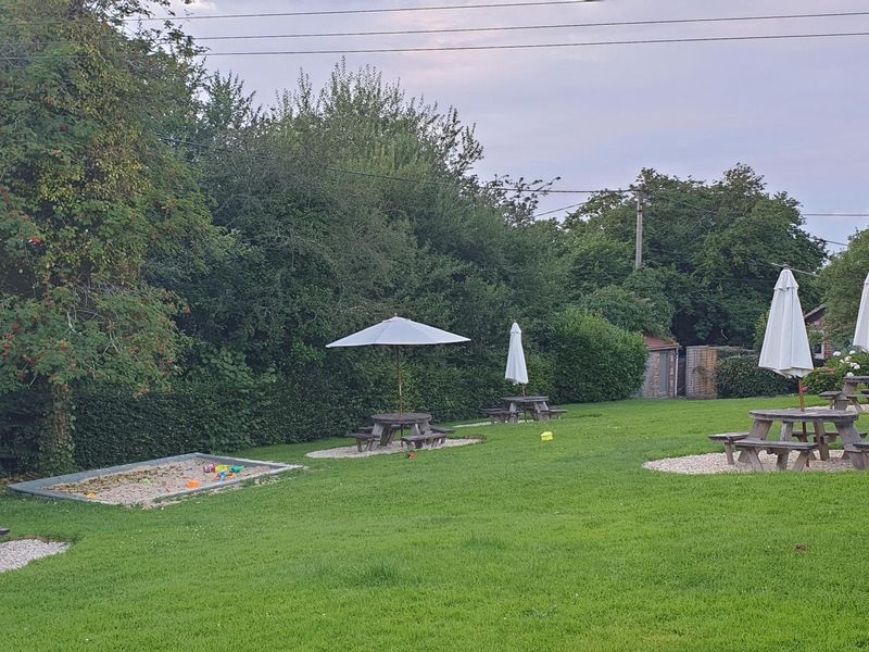 July 2021. (Garden). Published on 12-05-2025 