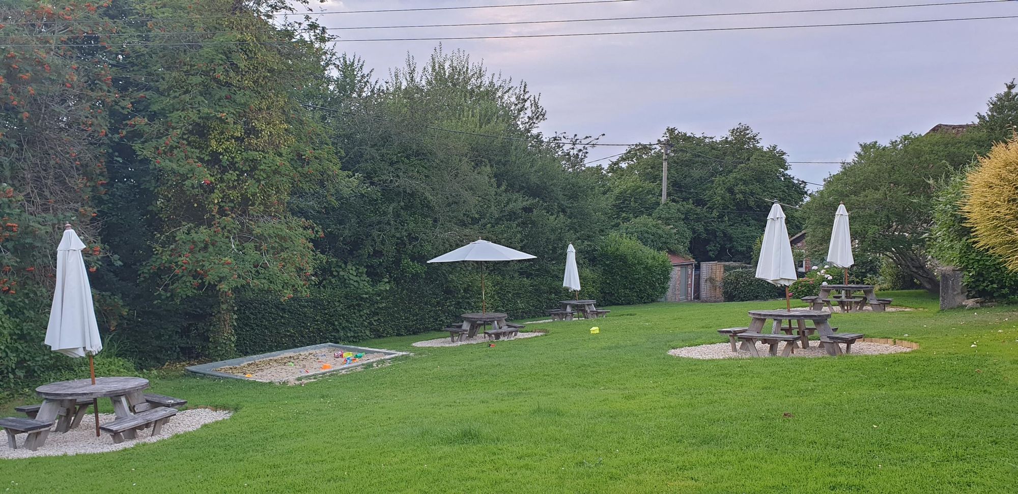 July 2021. (Garden). Published on 12-05-2025
