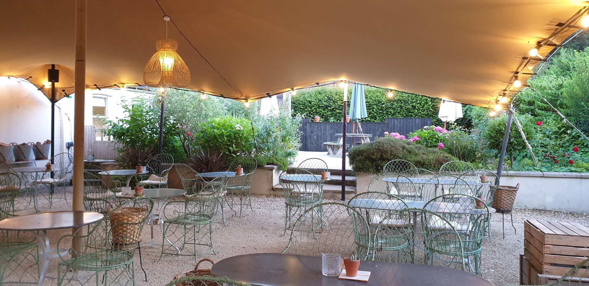 July 2021. (Garden). Published on 12-05-2025