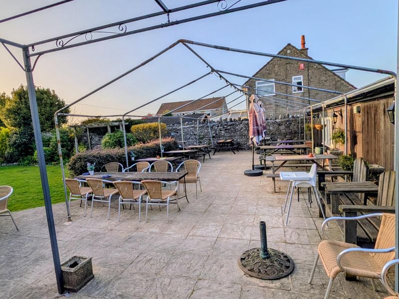 (Garden). Published on 08-04-2026 