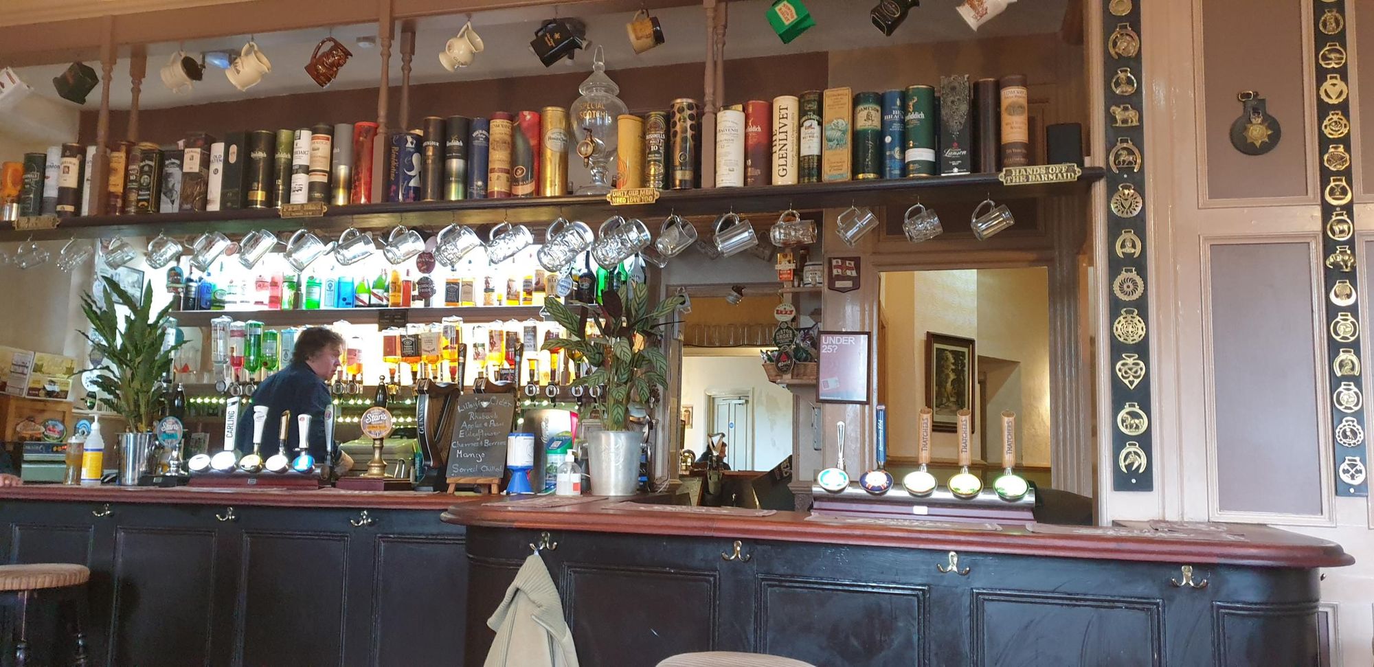 May 2022. (Bar). Published on 05-12-2024