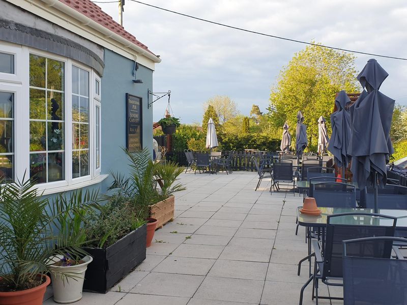 May 2021 - Patio. (External, Garden). Published on 10-01-2024 