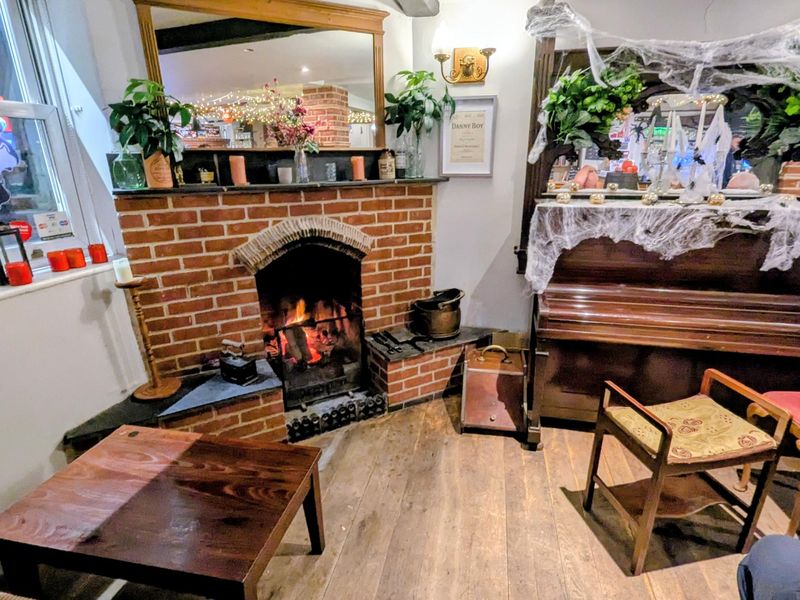 (Bar). Published on 29-10-2025 