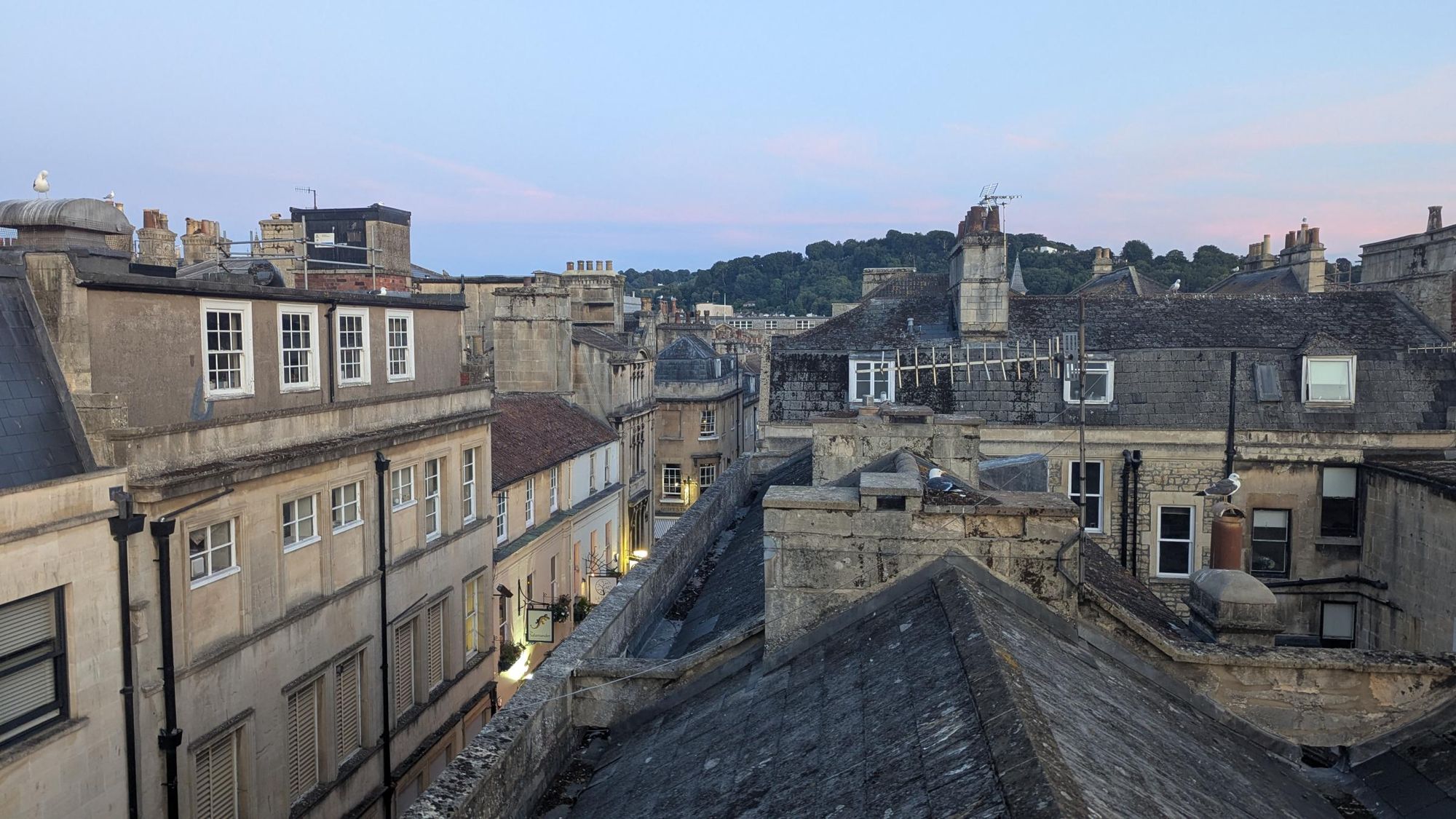 View from Roof Terrace. (Garden). Published on 10-11-2025