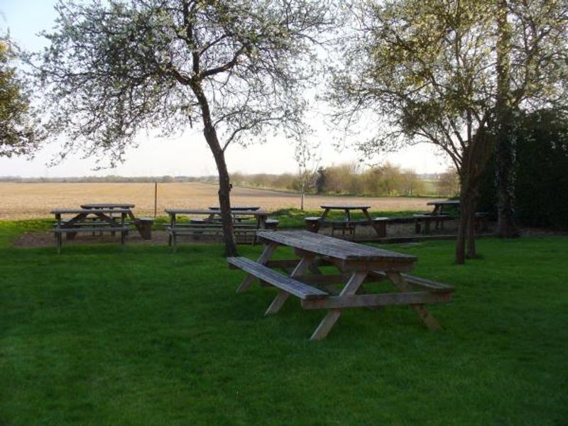 Garden area. (Garden). Published on 20-04-2016 