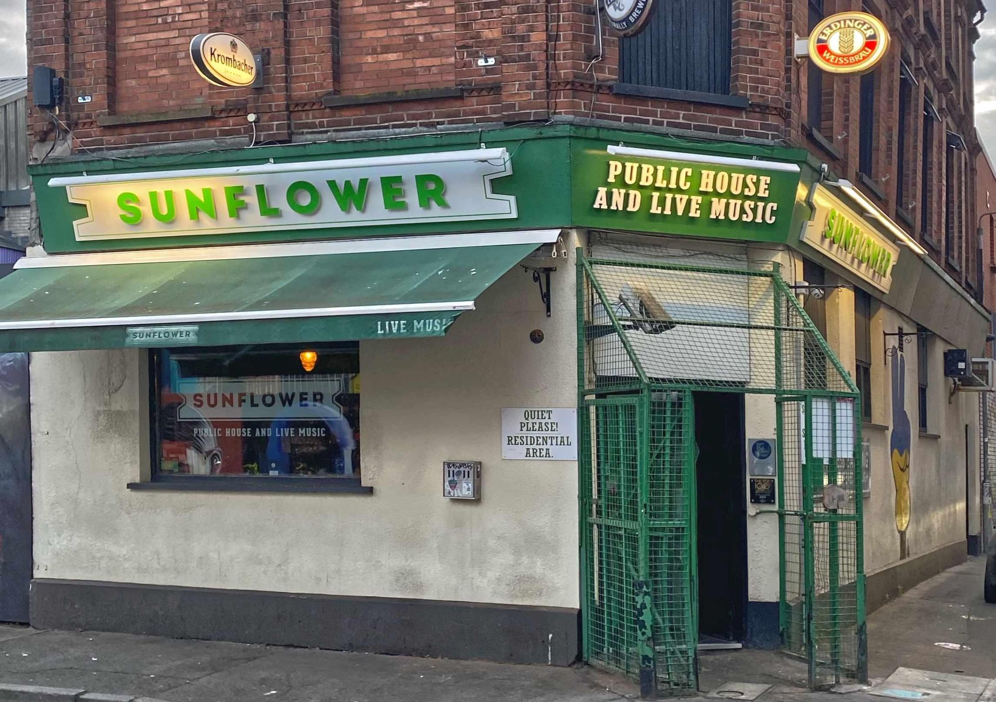 Sunflower, June 2023 (Photo: Michael Slaughter). (Pub, External, Key). Published on 07-03-2025