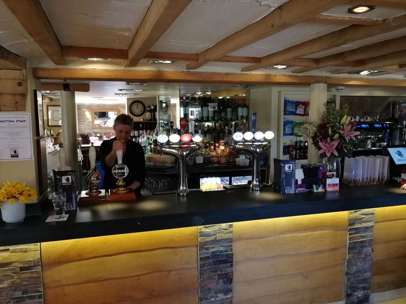 Black Horse, Ireland: bar. (Pub, Bar). Published on 19-02-2020