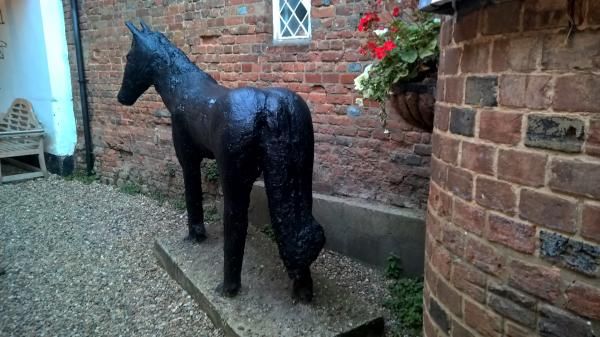 (External, Garden). Published on 12-08-2016