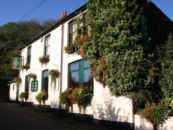Sun in the Wood Ashmore Green. (Pub). Published on 14-05-2013