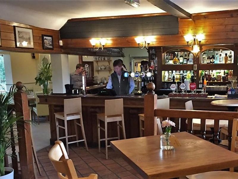 (Pub, Bar). Published on 10-11-2017