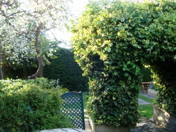 Plough on the Green - Garden. (Garden). Published on 26-05-2015