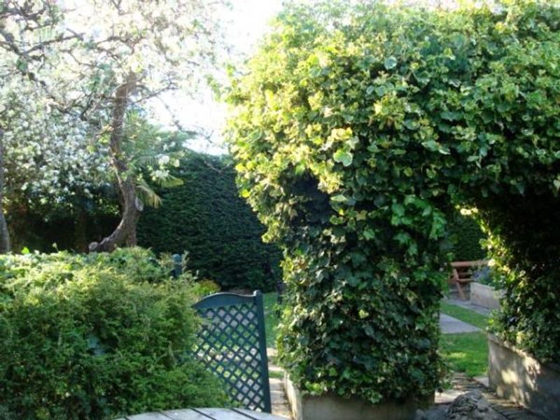 Plough on the Green - Garden. (Garden). Published on 26-05-2015