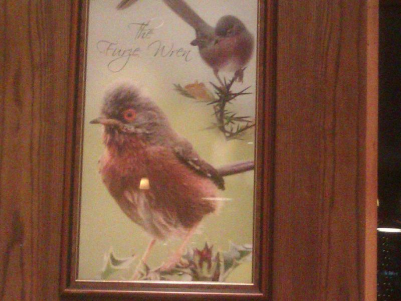 The Furze Wren. (Bar). Published on 28-12-2023 