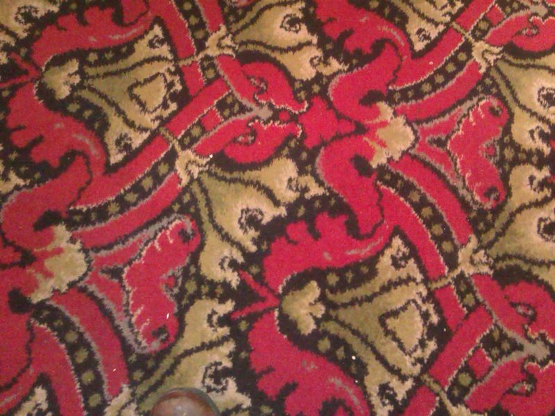 Carpet. (Pub). Published on 29-10-2022 