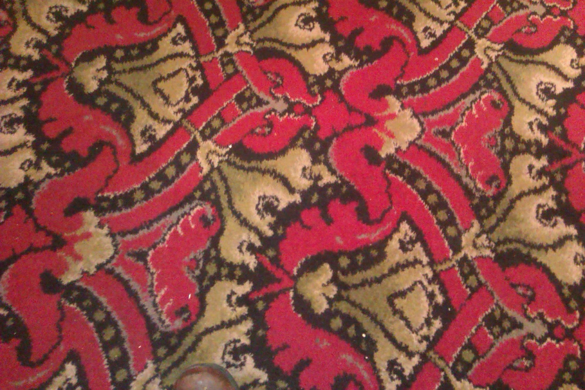 Carpet. (Pub). Published on 29-10-2022