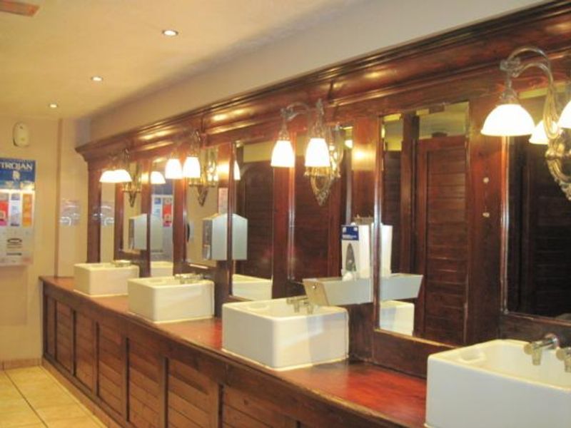 Posh ladies' loos. (Pub). Published on 16-06-2013