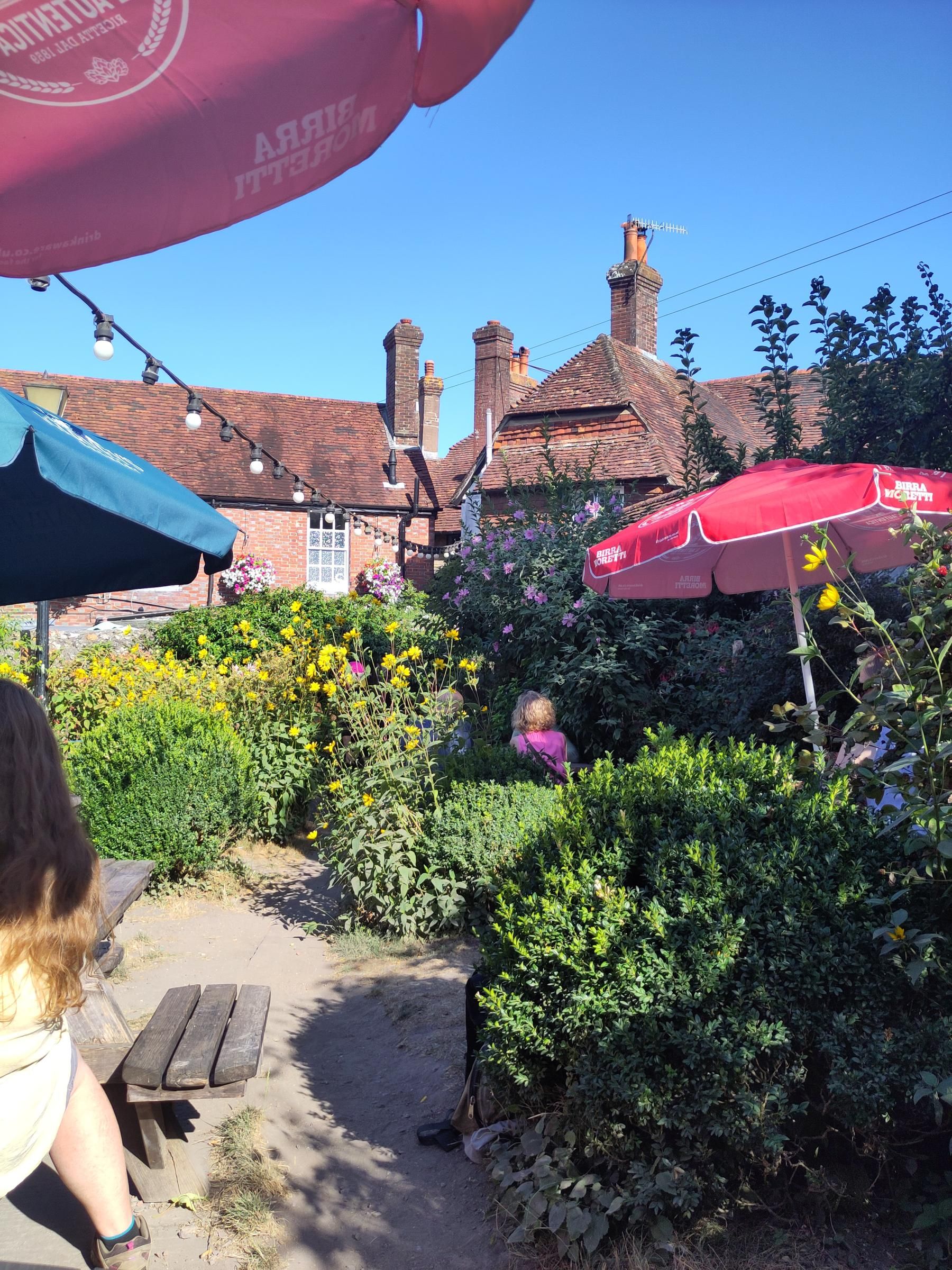 Garden. (Pub, Garden). Published on 08-08-2026