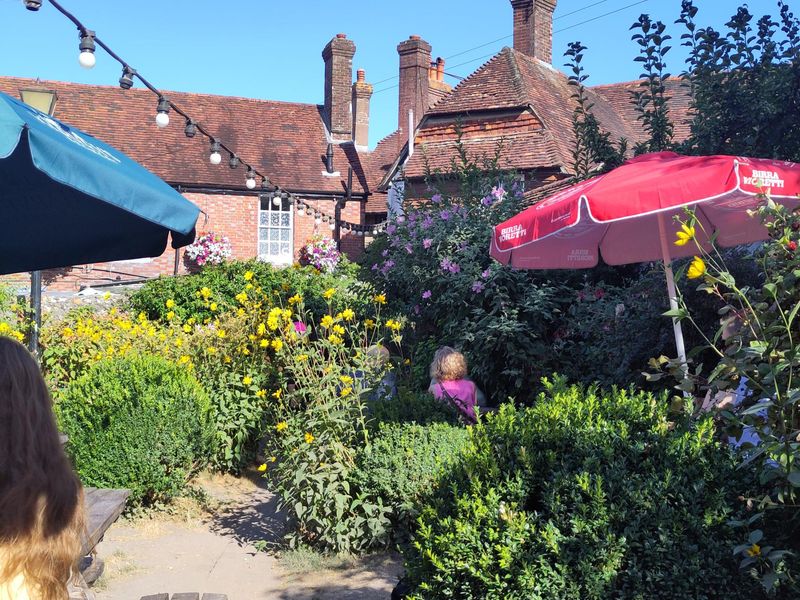 Garden. (Pub, Garden). Published on 08-08-2026