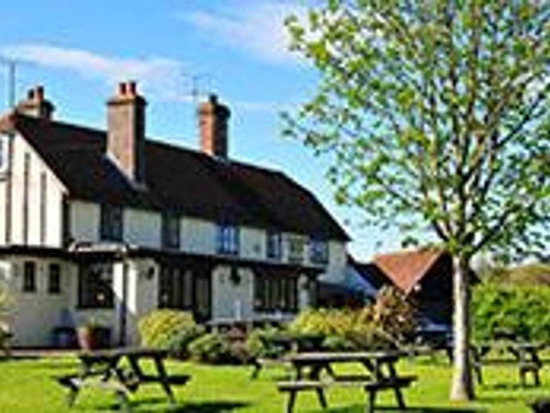Garden. (Pub, Garden). Published on 07-08-2013