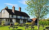 Garden. (Pub, Garden). Published on 07-08-2013