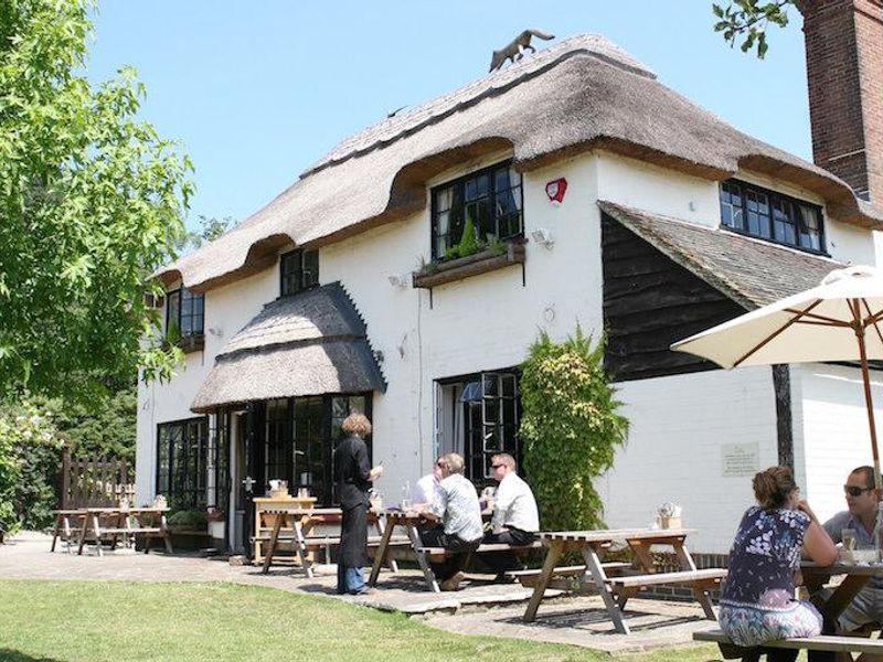 Garden. (Pub, External). Published on 05-04-2017
