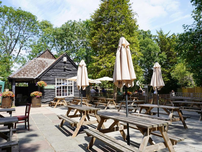 Photo taken 18 July 2026, garden & tea room.. (Garden). Published on 20-07-2026 
