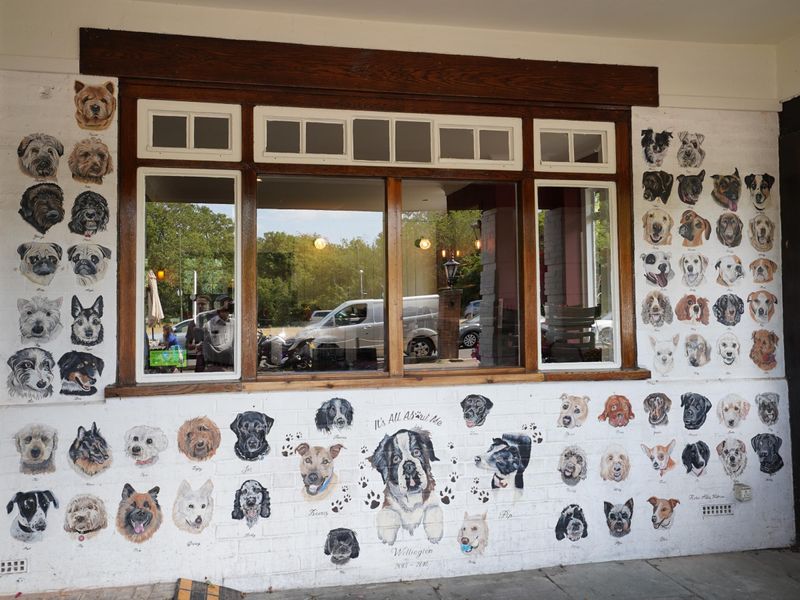 Photo taken 18 July 2026, dogs' wall of honour.. (Sign). Published on 20-07-2026 
