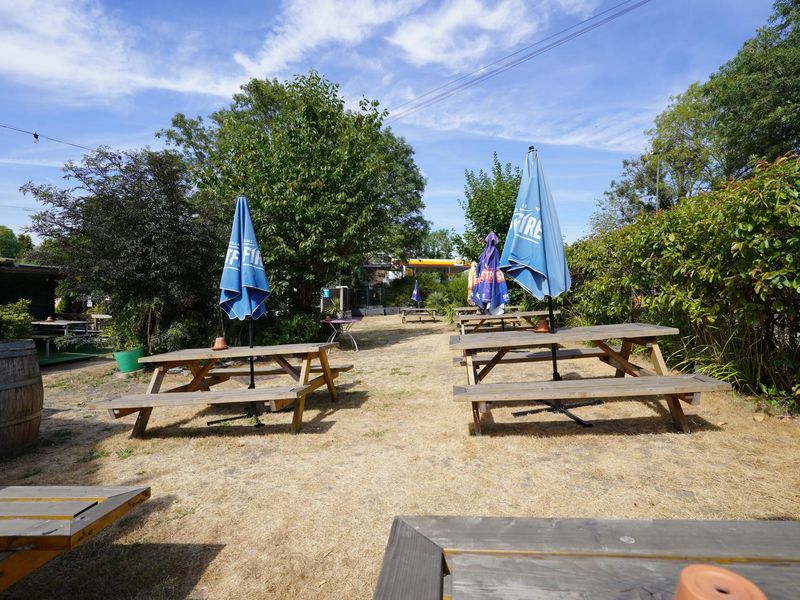 Photo taken 8 Aug 2026, garden 2.. (Pub, Garden). Published on 08-08-2026