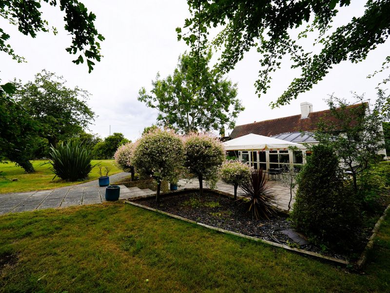 30 June 2022 garden. (Pub, Garden). Published on 01-07-2022 