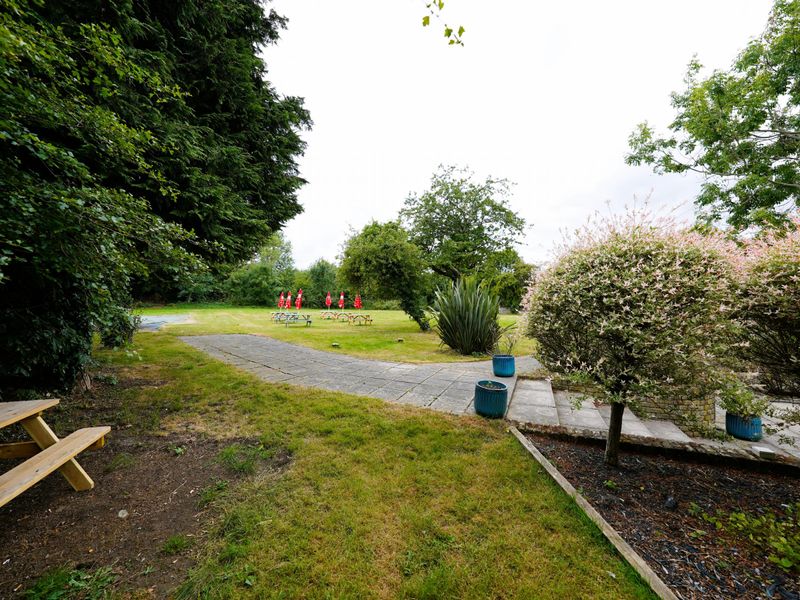 30 June 2022 garden. (Pub, Garden). Published on 01-07-2022 