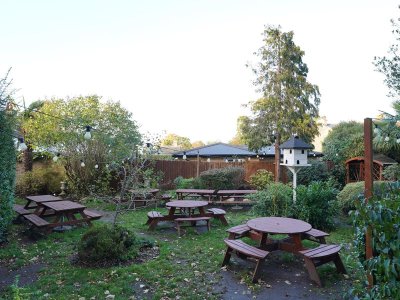 Photo taken 15 Nov 2023 garden.. (Pub, Garden). Published on 18-11-2023