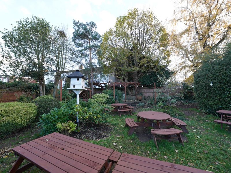 Photo taken 15 Nov 2023 garden.. (Pub, Garden). Published on 18-11-2023