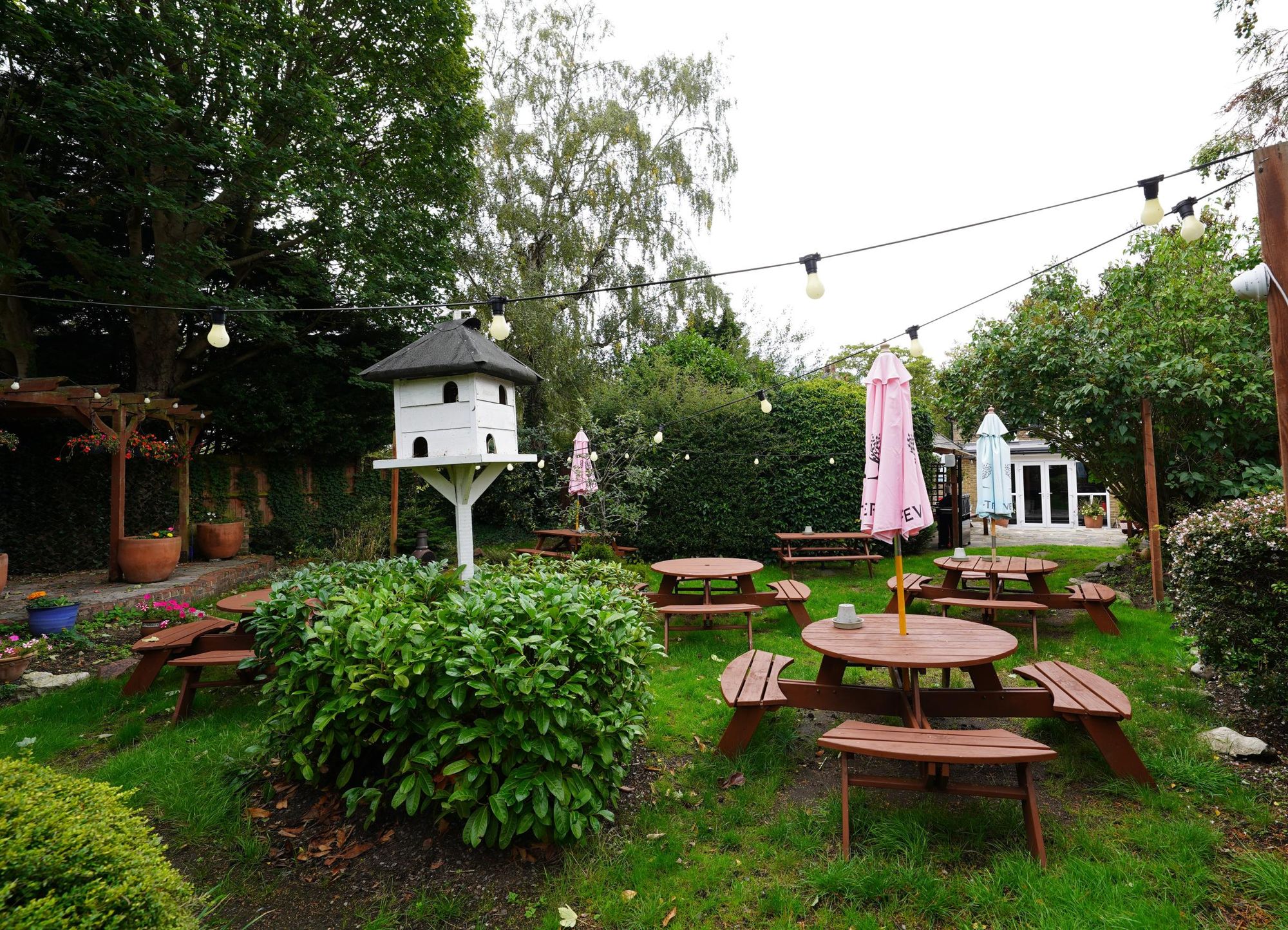 Photo taken 18 Sep 2025, garden.. (Garden). Published on 21-09-2025