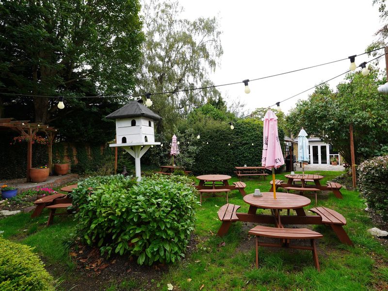 Photo taken 18 Sep 2025, garden.. (Garden). Published on 21-09-2025 